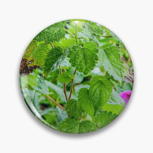 Item preview, Green Foliage with Purple – Quiet Garden designed and sold by QuietBloomDHS.