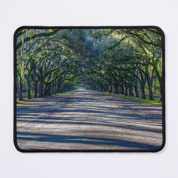 Item preview, Wormsloe designed and sold by River Oak Media.