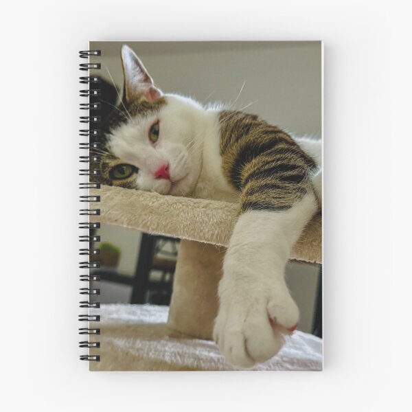 Item preview, Cat on Bed – Soft Indoor Light designed and sold by QuietBloomDHS.