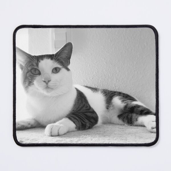 Item preview, Black and White Cat – Quiet Shelf designed and sold by QuietBloomDHS.