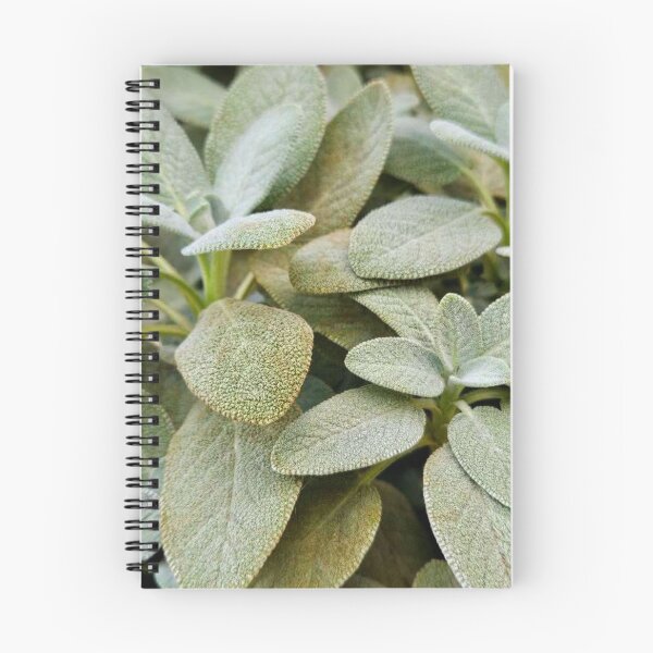 Item preview, Sage designed and sold by Courtney Croxall.