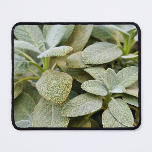 Item preview, Sage designed and sold by Courtney Croxall.