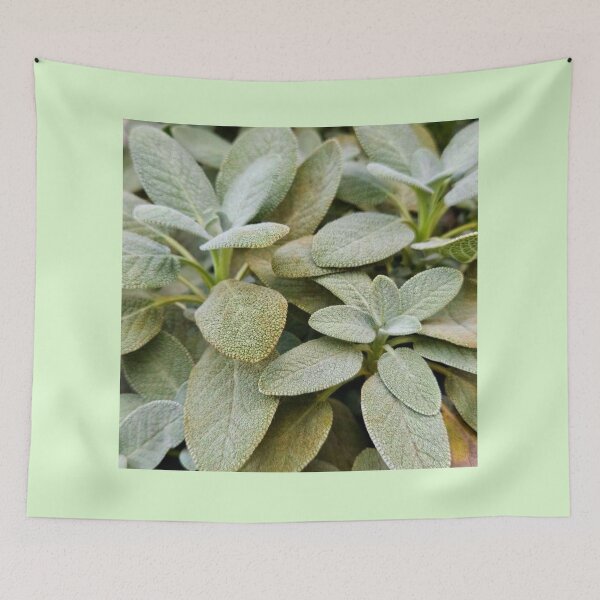 Item preview, Sage designed and sold by Courtney Croxall.