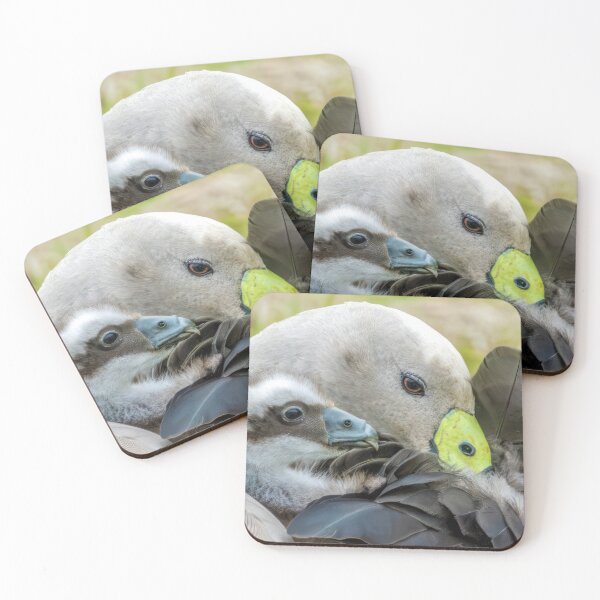 Item preview, Mum and Chick designed and sold by GaryParnell.