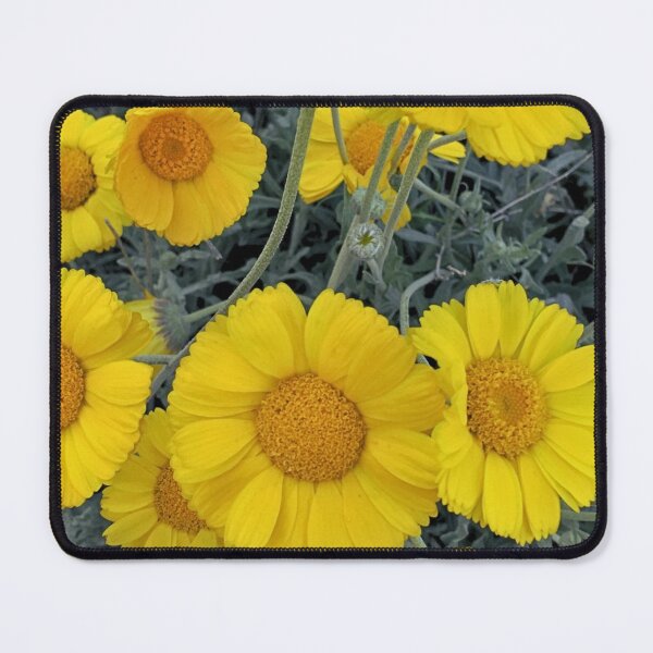 Item preview, Arizona Hometown Flowers in the Sun designed and sold by meganlaub1.