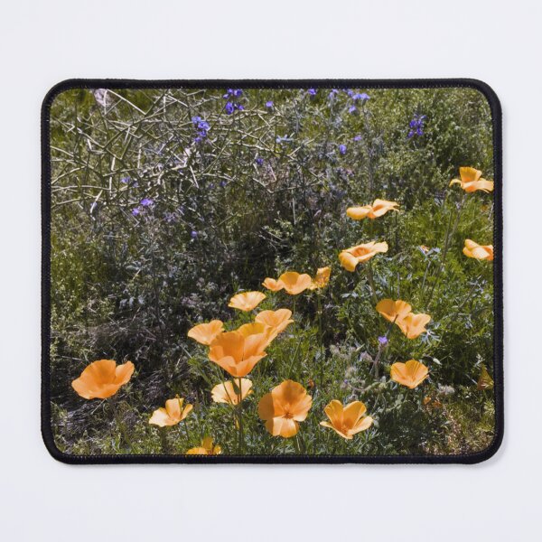 Item preview, Arizona Natural Floral Aesthetic in Orange designed and sold by meganlaub1.