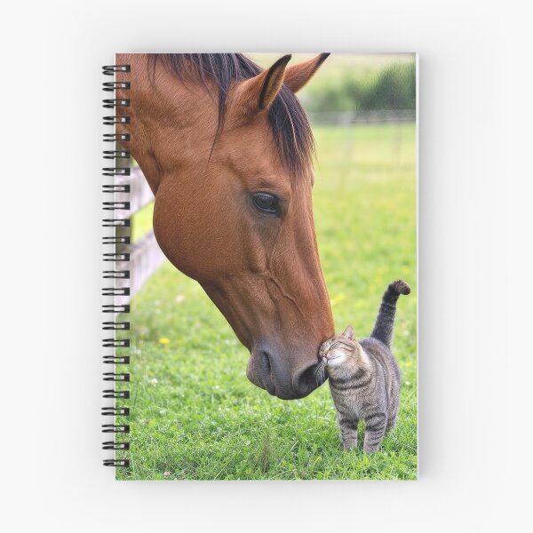 Item preview, Farm Horse in Pasture with Tabby Cat designed and sold by Maria Dryfhout.