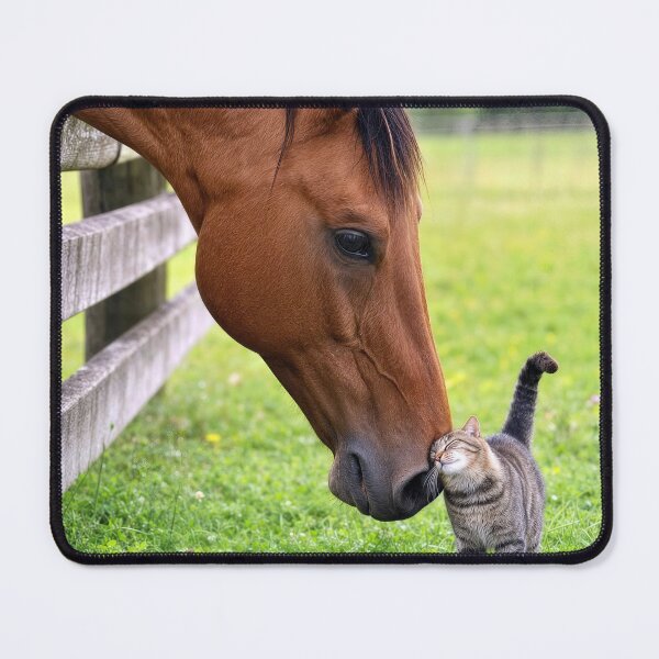 Item preview, Farm Horse in Pasture with Tabby Cat designed and sold by Maria Dryfhout.
