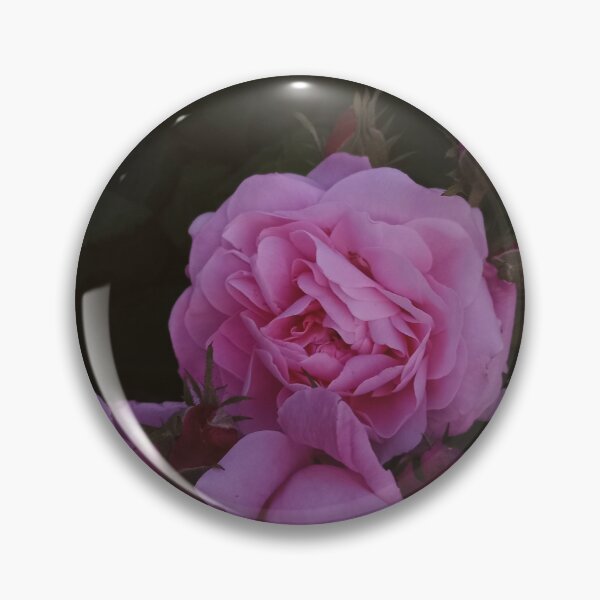 Item preview, Pink Roses in Garden Moody Dark Aesthetic Floral Photography designed and sold by Nature Moments.