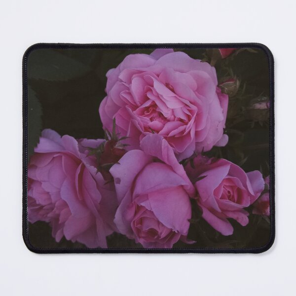 Item preview, Pink Roses in Garden Moody Dark Aesthetic Floral Photography designed and sold by Nature Moments.