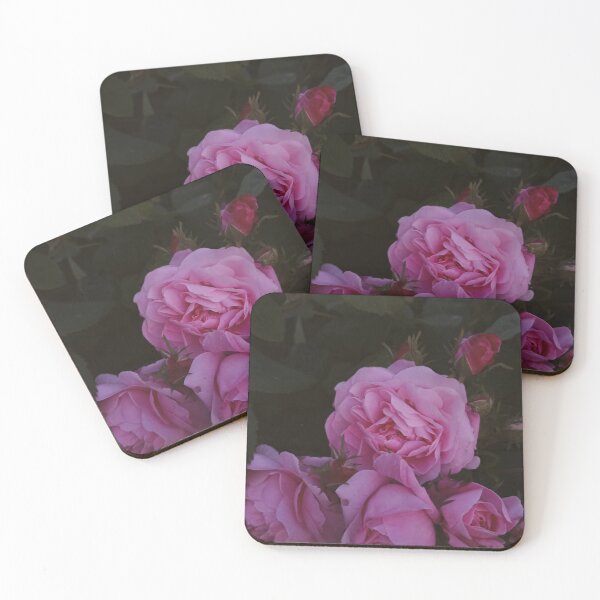 Item preview, Pink Roses in Garden Moody Dark Aesthetic Floral Photography designed and sold by Nature Moments.