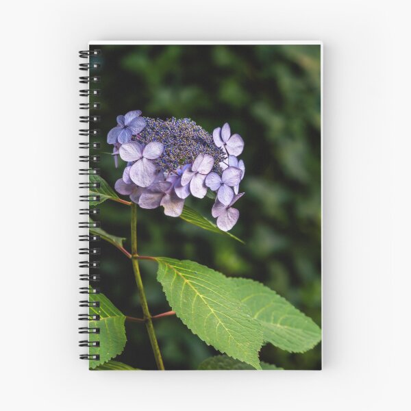 Item preview, Purple Hydrangea-Type Flower Close-Up designed and sold by Rabee Khalil Photography.