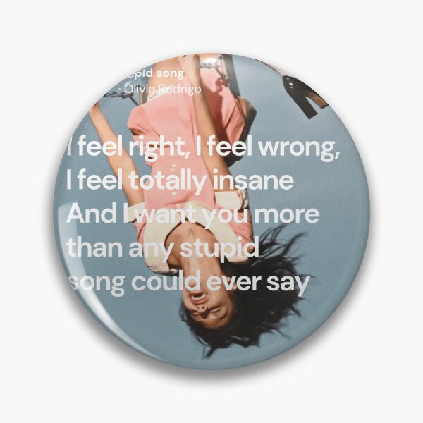 Item preview, Stupid Song lyrics - Olivia Rodrigo designed and sold by Milkshake33.