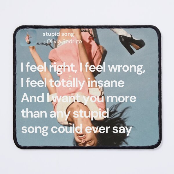 Item preview, Stupid Song lyrics - Olivia Rodrigo designed and sold by Milkshake33.