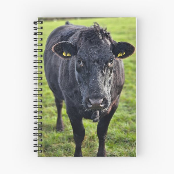Item preview, Black Beauty I designed and sold by Kat Simmons.