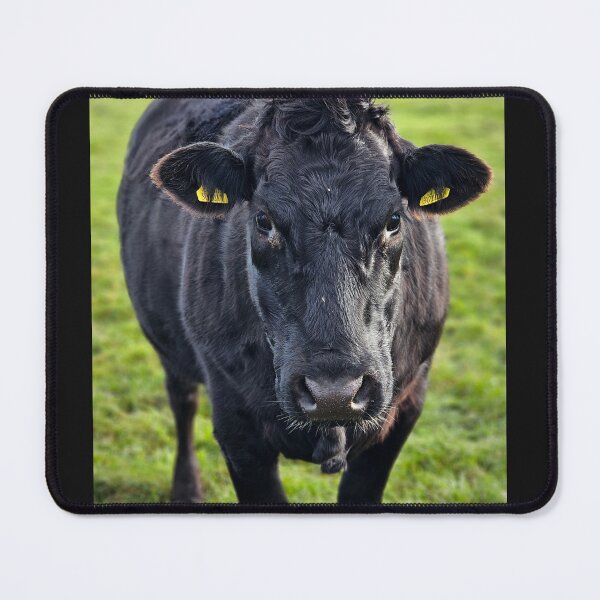 Item preview, Black Beauty I designed and sold by Kat Simmons.