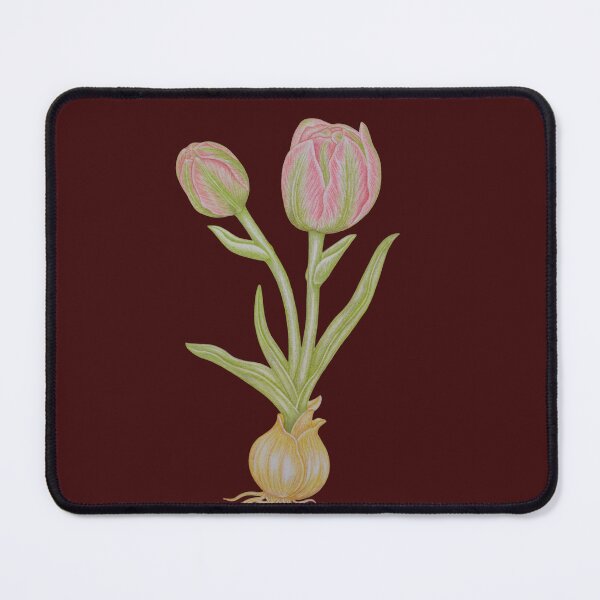 Item preview, Pink Tulip with Bulb Botanical Art designed and sold by calmcolourprint.
