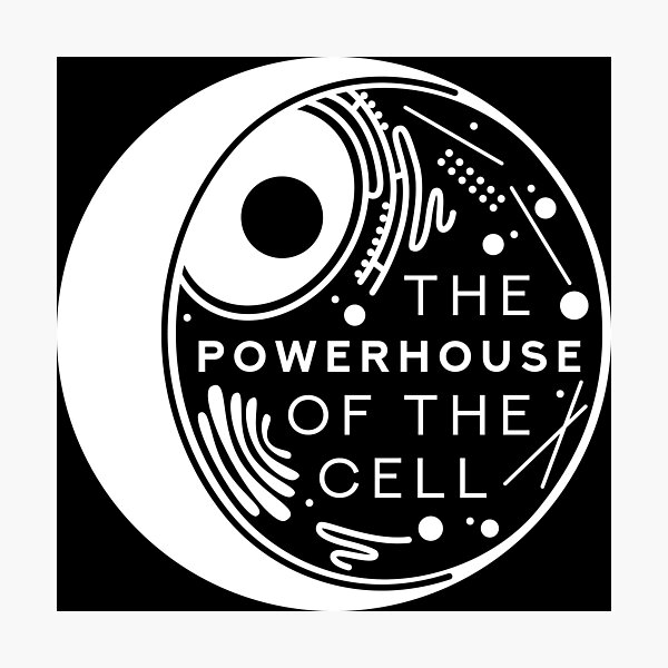 Item preview, The Powerhouse of the Cell designed and sold by kvhastings.