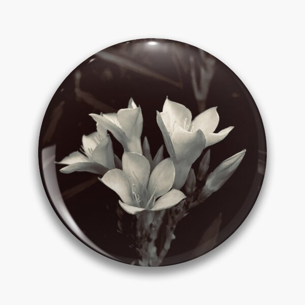 Item preview, Black and White Silhouette Floral Inspired Design designed and sold by meganlaub1.