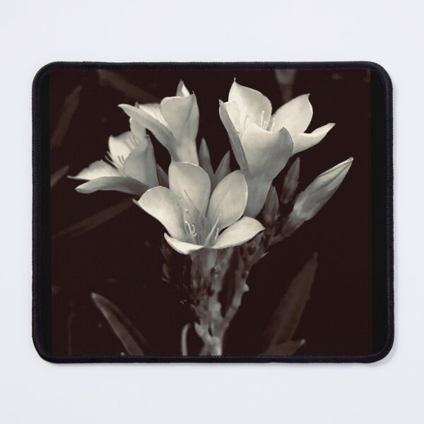 Item preview, Black and White Silhouette Floral Inspired Design designed and sold by meganlaub1.