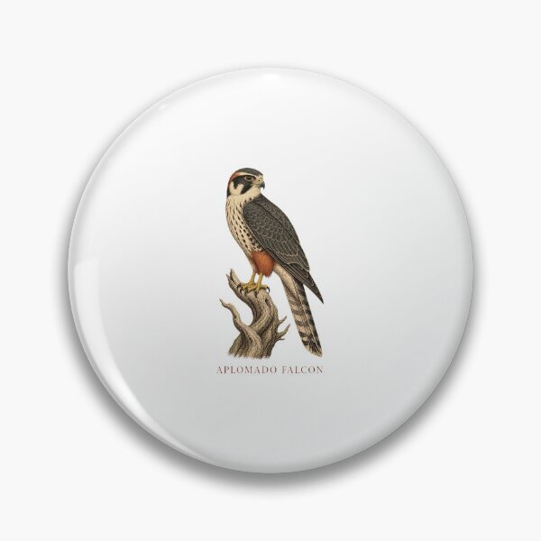 Item preview, Aplomado Falcon Vintage Bird Art – Falconry and Birdwatching Design designed and sold by AMICO77.
