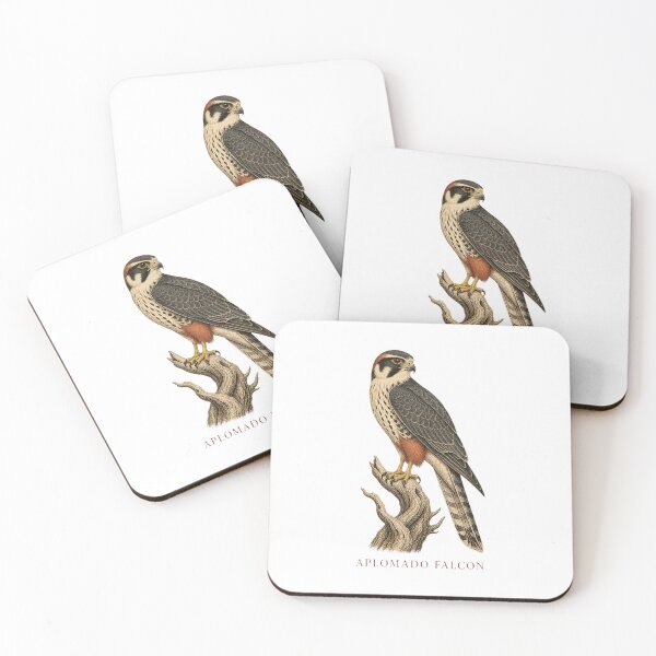 Item preview, Aplomado Falcon Vintage Bird Art – Falconry and Birdwatching Design designed and sold by AMICO77.