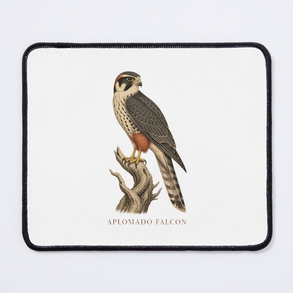 Item preview, Aplomado Falcon Vintage Bird Art – Falconry and Birdwatching Design designed and sold by AMICO77.