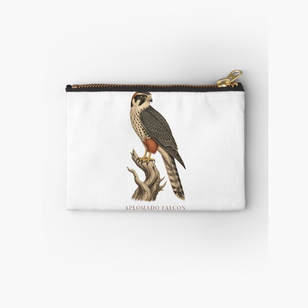 Item preview, Aplomado Falcon Vintage Bird Art – Falconry and Birdwatching Design designed and sold by AMICO77.