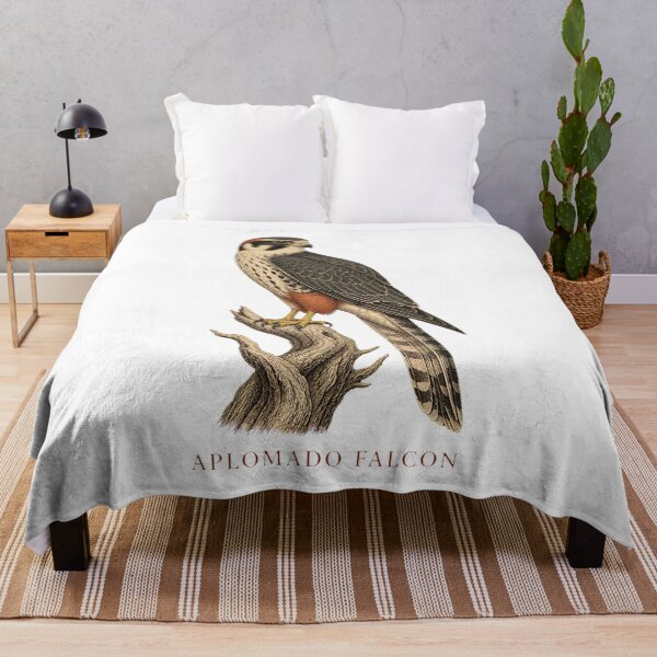 Item preview, Aplomado Falcon Vintage Bird Art – Falconry and Birdwatching Design designed and sold by AMICO77.
