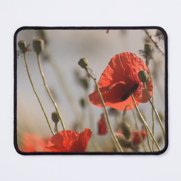 Item preview, Poppy flowers designed and sold by TNT-Atelier.