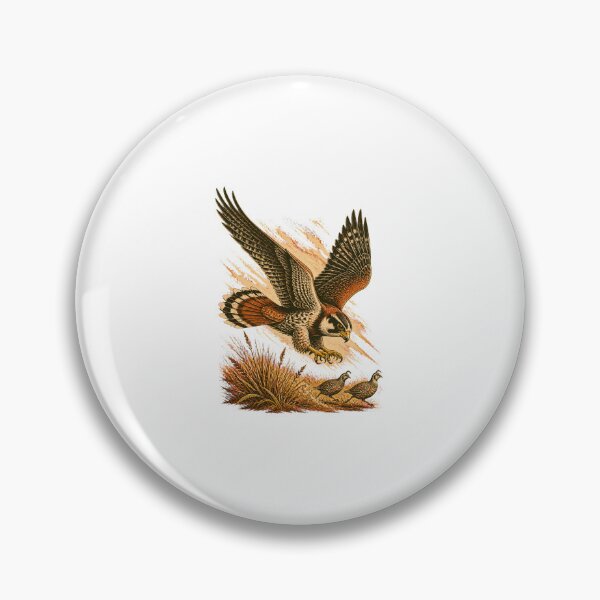 Item preview, Aplomado Falcon Vintage Bird Art – Falconry and Birdwatching Design designed and sold by AMICO77.