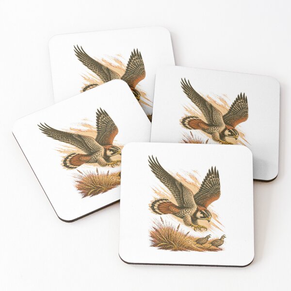 Item preview, Aplomado Falcon Vintage Bird Art – Falconry and Birdwatching Design designed and sold by AMICO77.