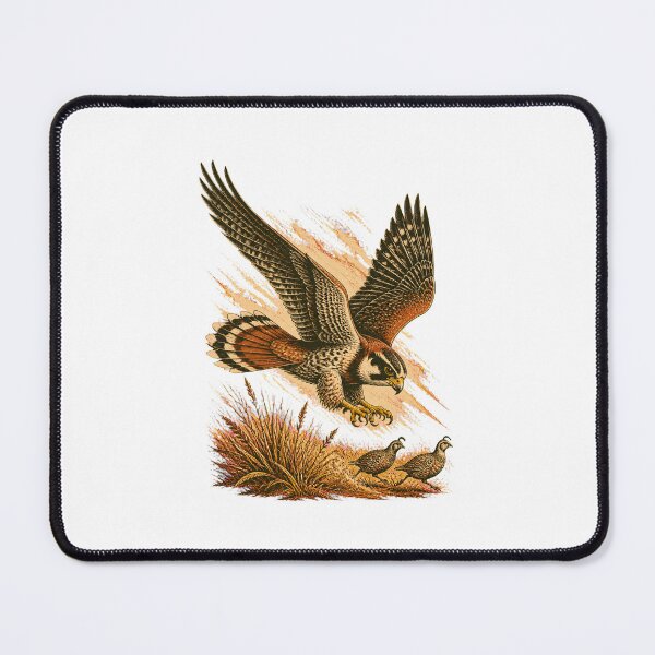 Item preview, Aplomado Falcon Vintage Bird Art – Falconry and Birdwatching Design designed and sold by AMICO77.