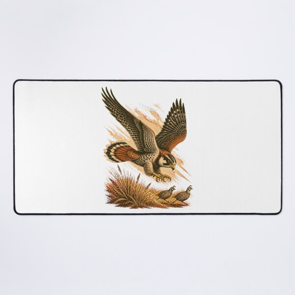 Item preview, Aplomado Falcon Vintage Bird Art – Falconry and Birdwatching Design designed and sold by AMICO77.
