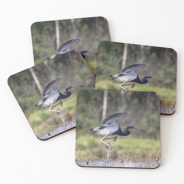 Item preview, Tricolored Heron Take Off designed and sold by Theresa Wainwright.