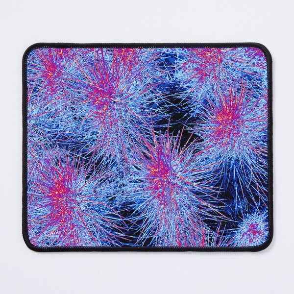Item preview, Purple and Blue Neon Cactus Photograph designed and sold by meganlaub1.