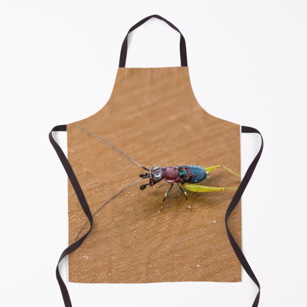Item preview, Red-Head Bush Cricket (Handsome Trig) designed and sold by Astute-Artio-Photography.