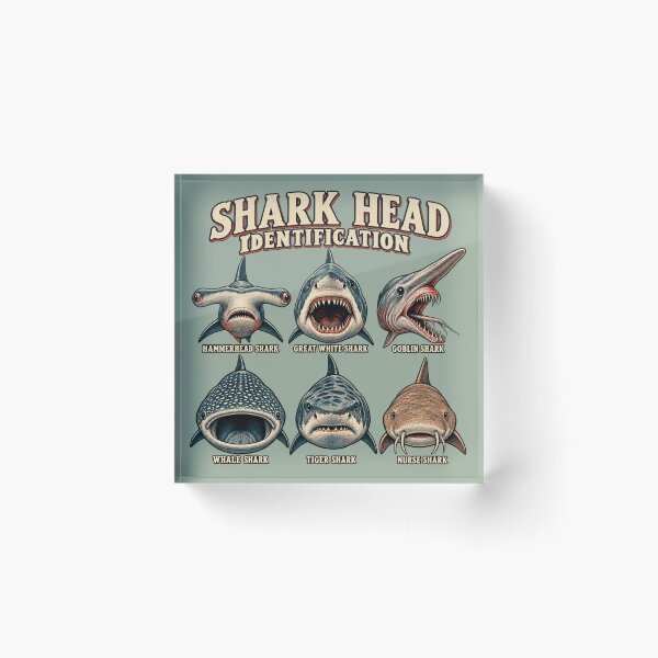 Item preview, Shark Head Identification for Marine Biology Fans designed and sold by POD DYNASTY | Original Print On Demand T-Shirt Graphics.