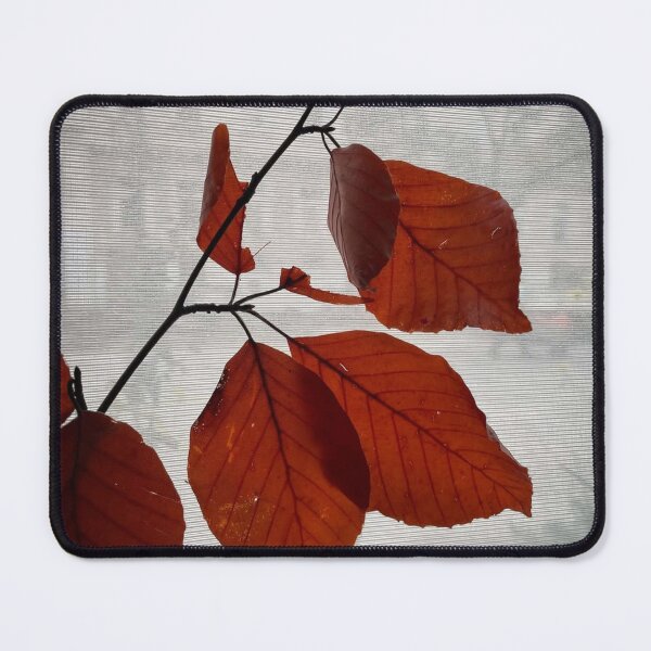Item preview, Vienna Navistar Historic Beauty designed and sold by Kiftsgategarden.