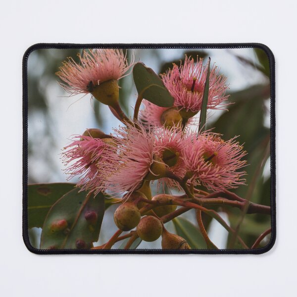 Item preview, Pink Eucalyptus Blooms designed and sold by wendyhattonphotography.