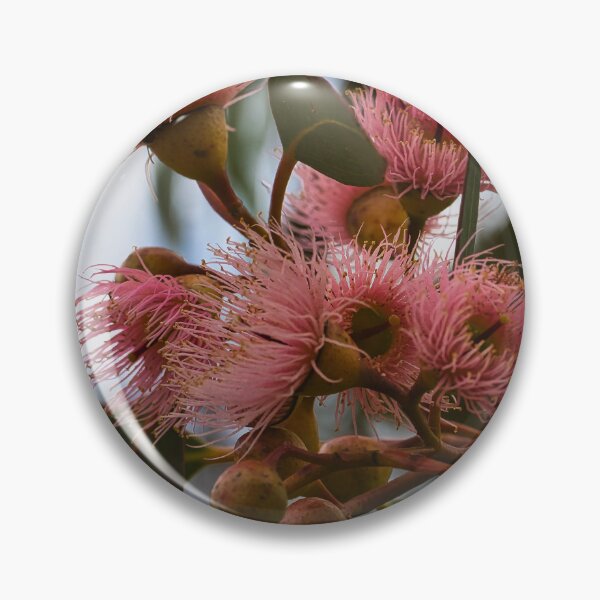 Item preview, Pink Eucalyptus Blooms designed and sold by wendyhattonphotography.