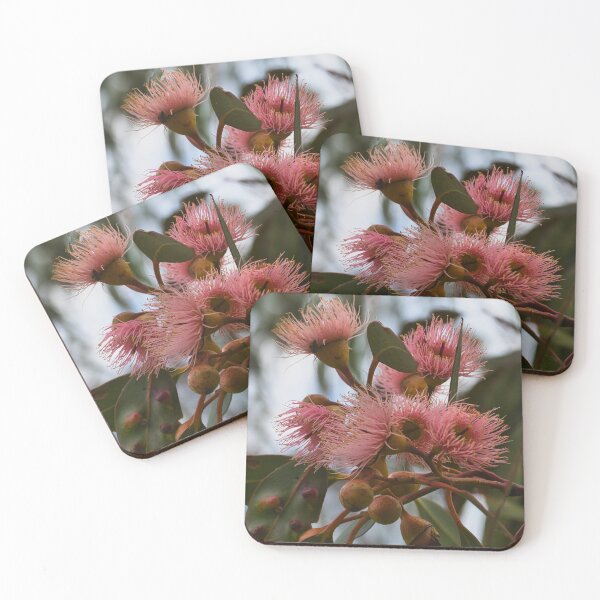 Item preview, Pink Eucalyptus Blooms designed and sold by wendyhattonphotography.