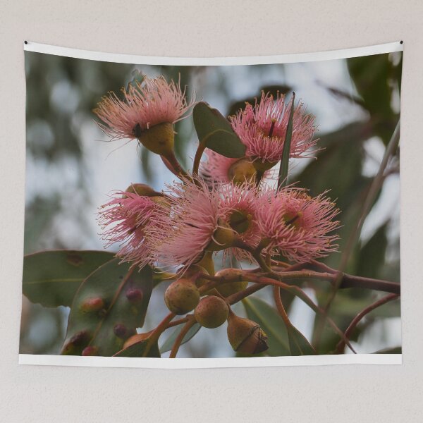 Item preview, Pink Eucalyptus Blooms designed and sold by wendyhattonphotography.
