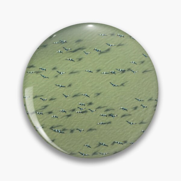 Item preview, Pelicans Over Lake Eyre — Aerial Flock Pattern, South Australia designed and sold by BushPilotLens.
