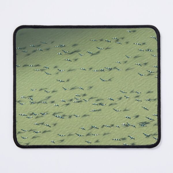 Item preview, Pelicans Over Lake Eyre — Aerial Flock Pattern, South Australia designed and sold by BushPilotLens.