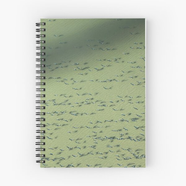 Item preview, Pelicans Over Lake Eyre — Aerial Flock Pattern, South Australia designed and sold by BushPilotLens.