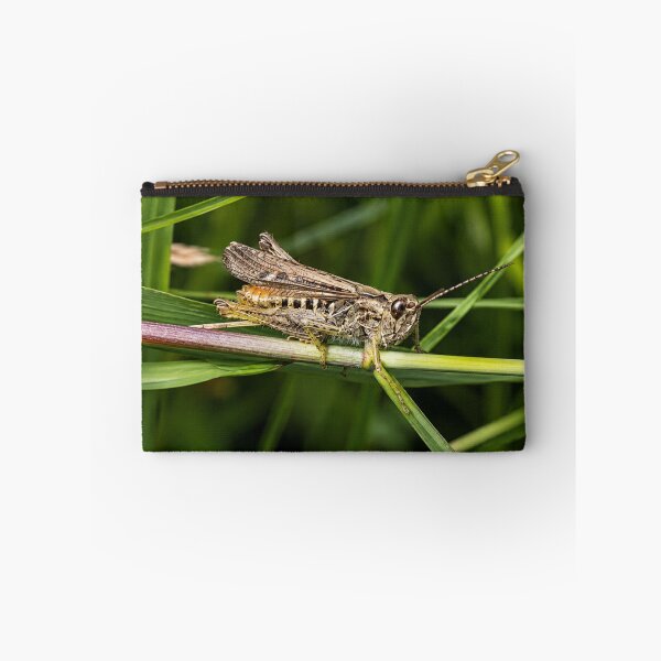 Item preview, Short-horned Grasshopper in the grass designed and sold by Astute-Artio-Photography.