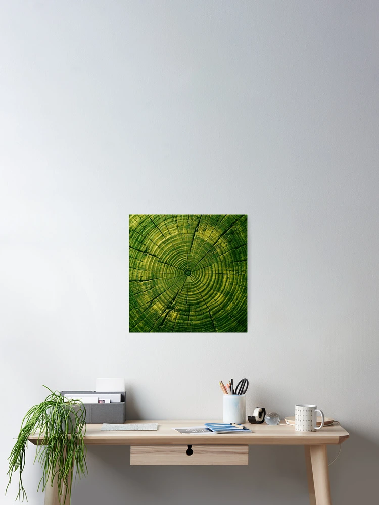 Thumbnail 2 of 3, Poster, Green Tree Rings designed and sold by Tridentulus.