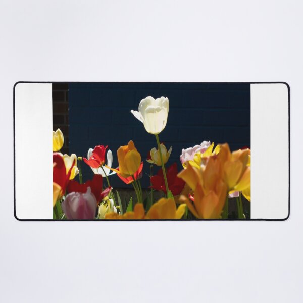 Item preview, Toronto James Cook University Neon Skyline designed and sold by Kiftsgategarden.