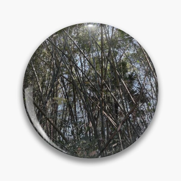 Item preview, Bamboo Niche Creates Harmony designed and sold by cagizji.